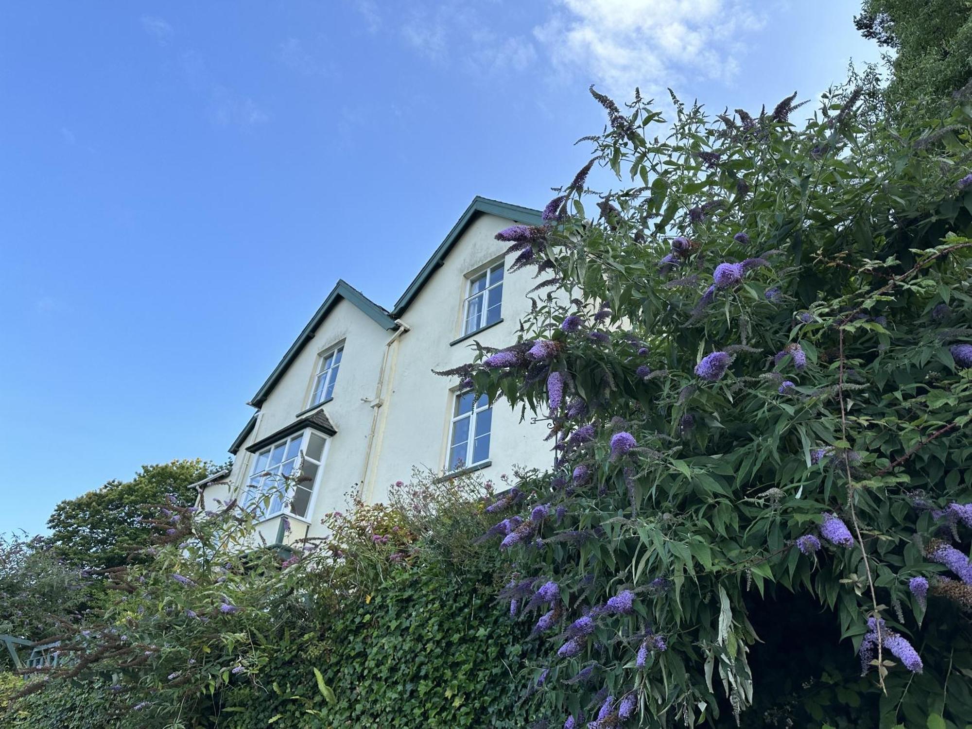 North Walk House Bed & Breakfast ลินตัน ภายนอก รูปภาพ